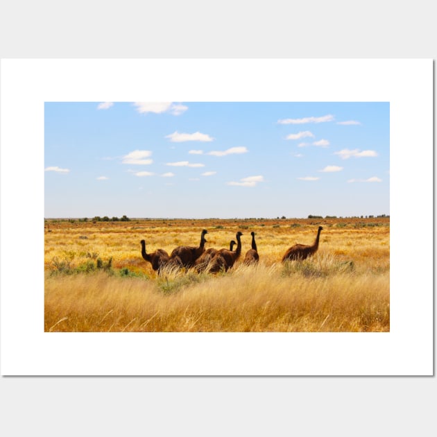 Emus in the Outback! Wall Art by Mickangelhere1